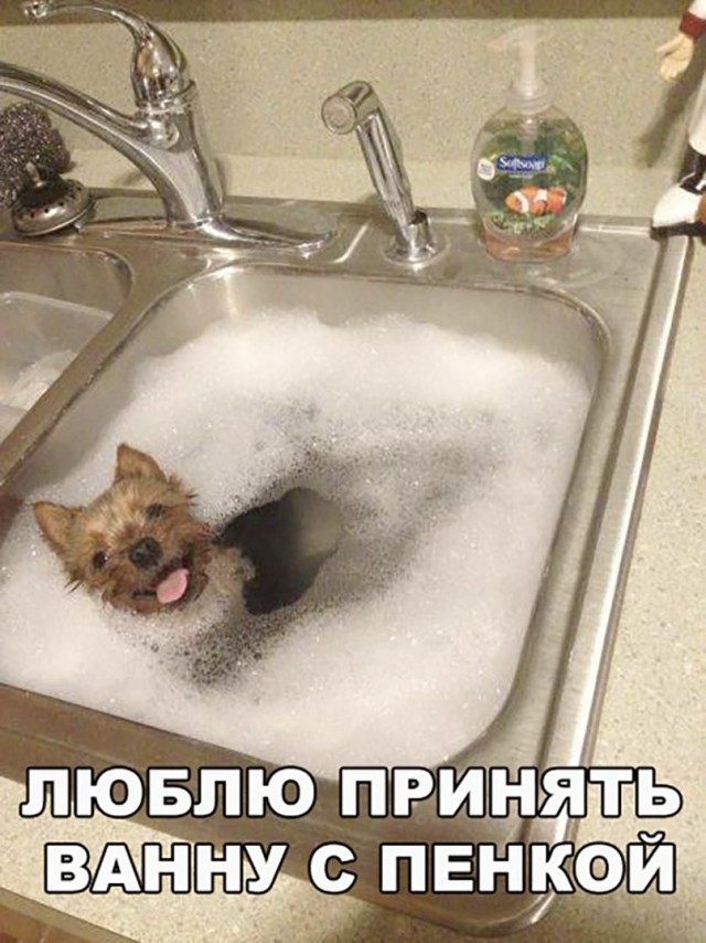 Нестандартный юмор