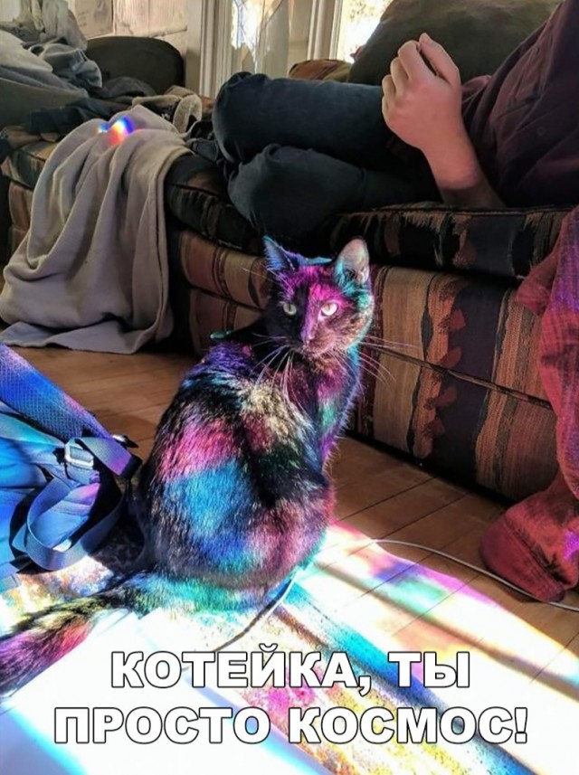 Немного милоты