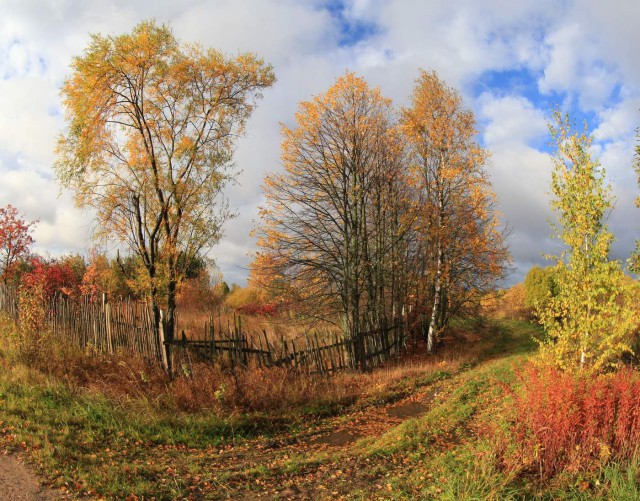 Осень в деревне