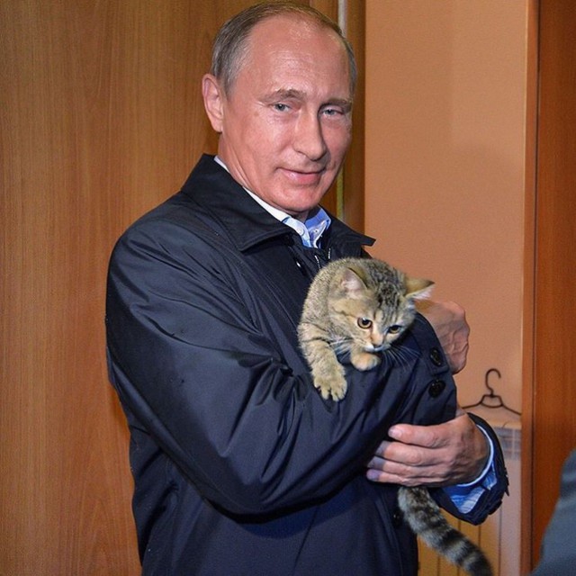 Маленькое новогоднее чудо