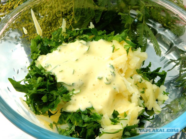 Селедка под шубой - 2019