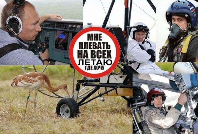 Воркуюсь где хочу