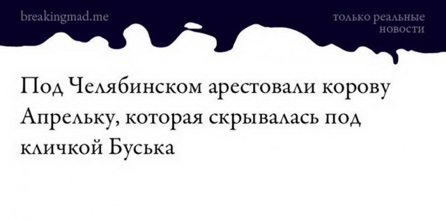 Дурацкие картинки