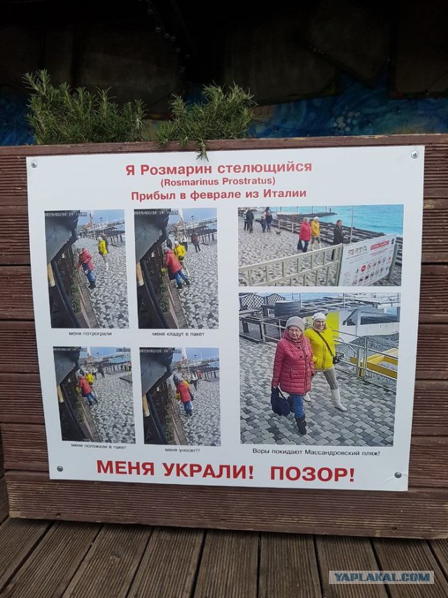 Волгоградский депутат единоросс: «Пенсию в 8 тысяч получают только алкаши и тунеядцы»