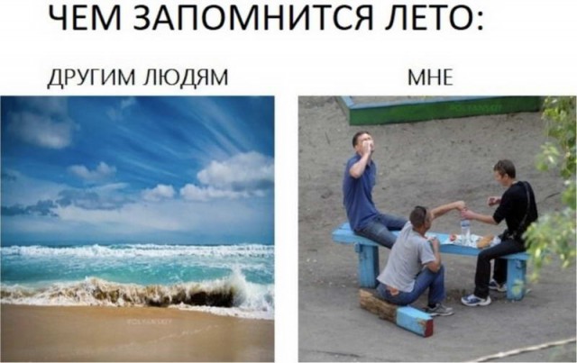 Скотсети и прочие интернеты 25.06.19