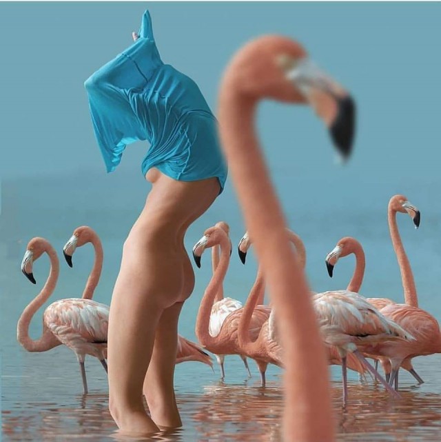 Кретинки
