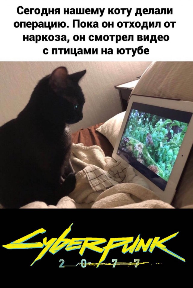 Немного картинок для настроения 22.02.20