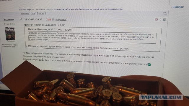 Методички по голосованию за поправки в Конституцию