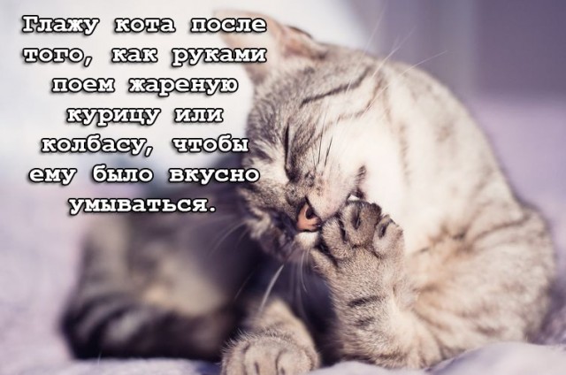 Труби, Гавриил, труби