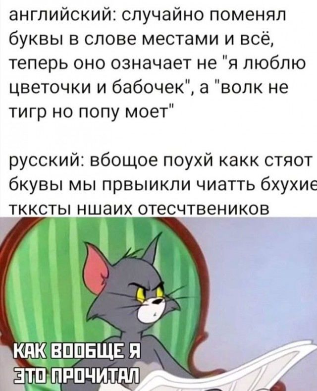 Чуток картинок 05.06.20