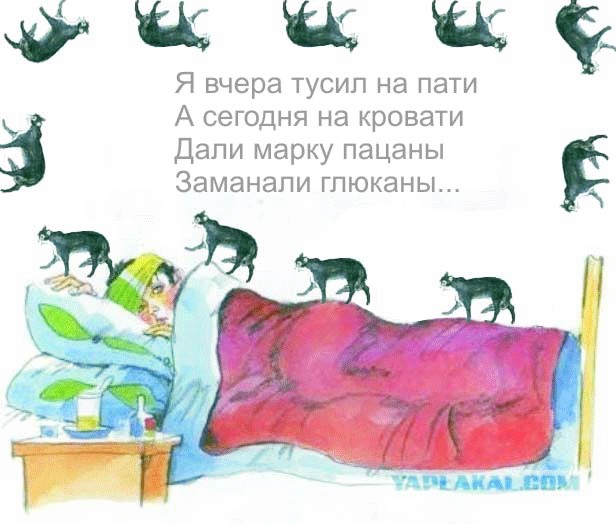 Кот, Антошка и порошок