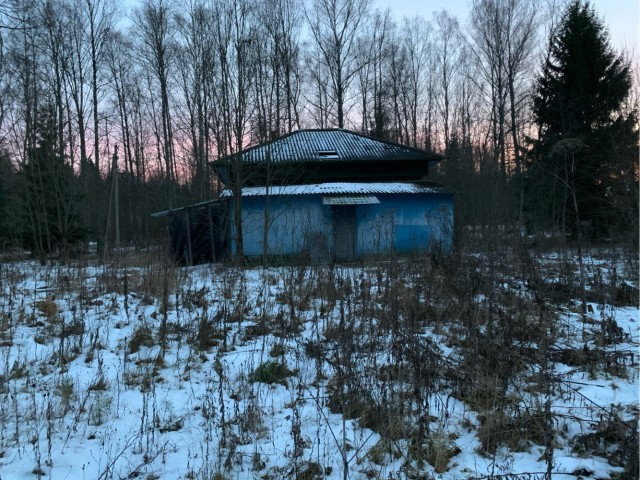 Забытый в сосновом лесу: закрытый элитный детский лагерь под Волгоградом