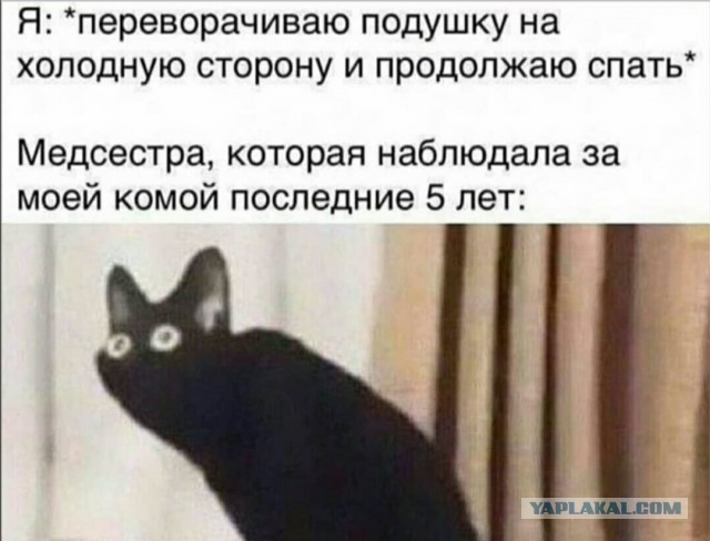 Немного картинок для настроения 31.10.20