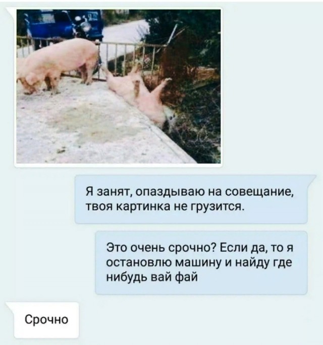 Весёлый полтишок 24.02