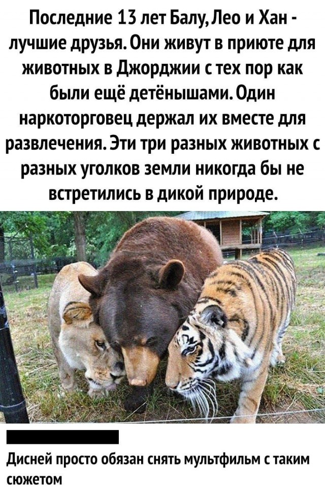 Немного картинок разной степени новизны и адекватности - 1