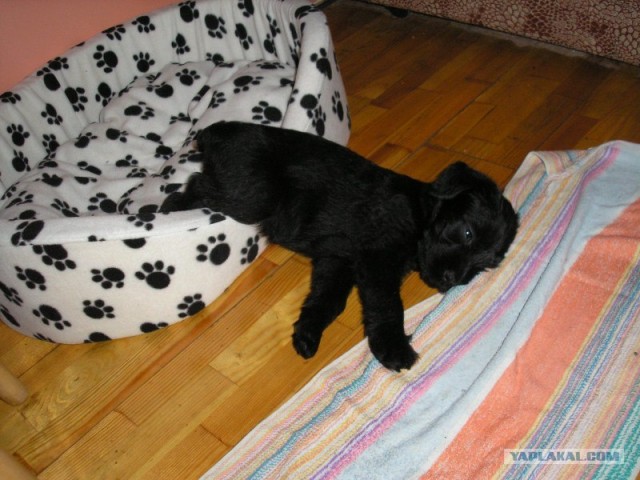 Можно я с краешку прилягу?