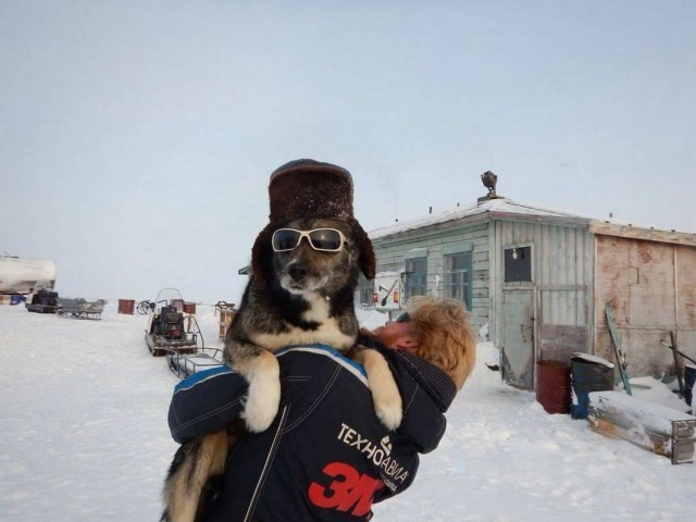 Добрые картинки с животными