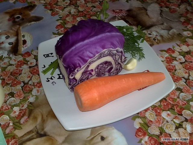 Праздничный обед для чайников от Дженибека&Бомжыка