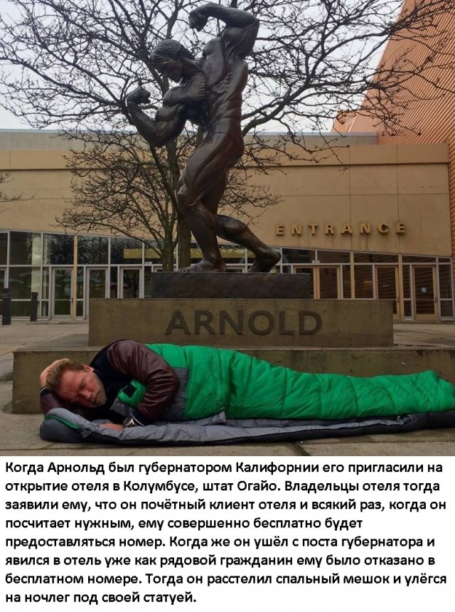 Весёлый полтишок 8.08