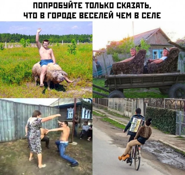 Картинки и мемы для настроения 12.08.2021