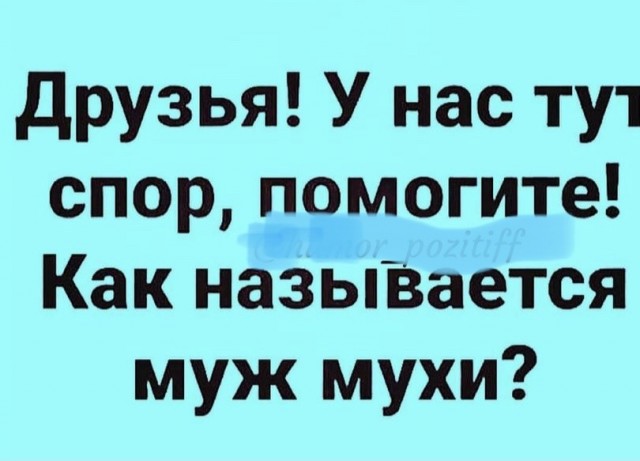 Весёлый полтишок 27.10