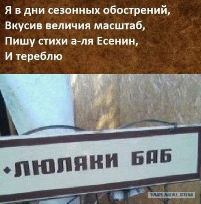 Весёлый полтишок 26.11