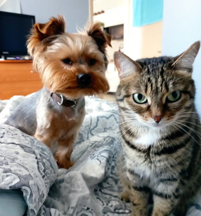 Кот д’Ивуар
