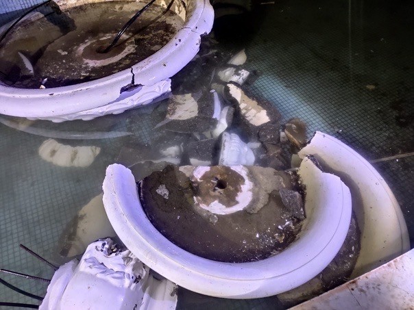 В Асбесте на вандала рухнул фонтан