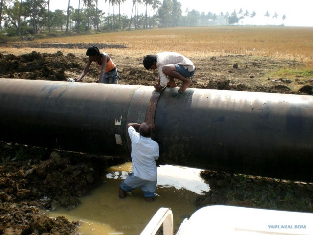 Индия 2007 - 2008 г.