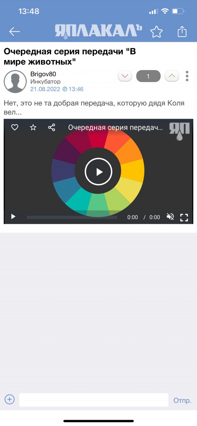 Очередная серия передачи "В мире животных"