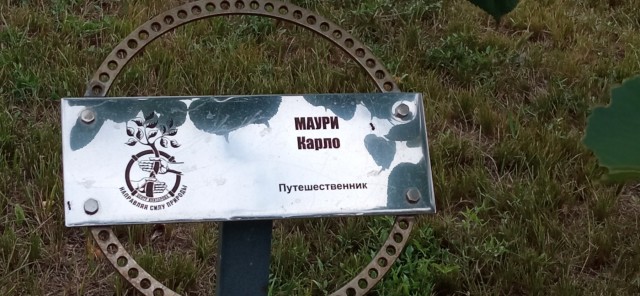 Какое последнее фото у вас в телефоне?