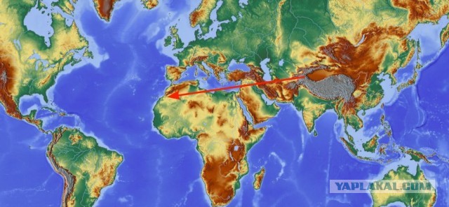 История. Египет и утверждения историков