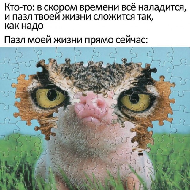 25 картинок