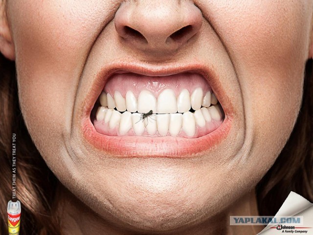 Оставьте свои заботы позади