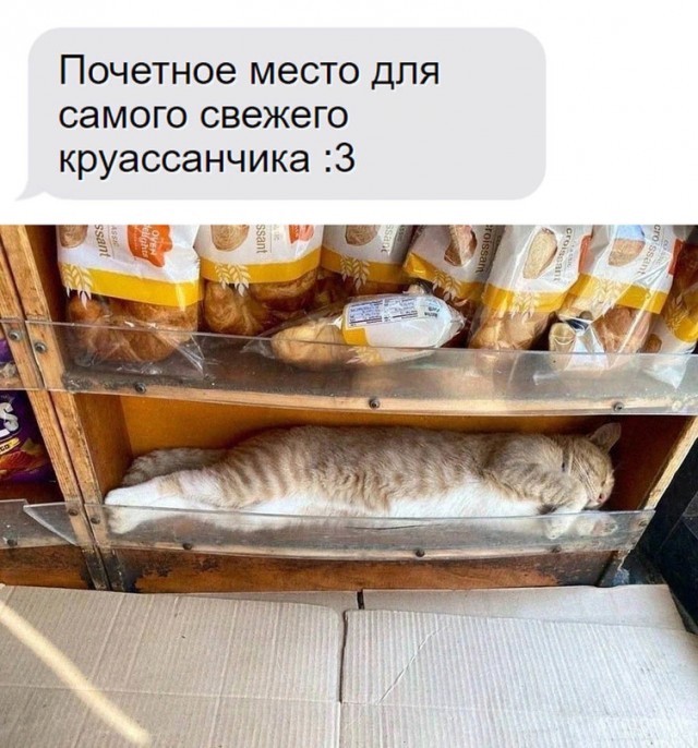 Картинки и мемы, всяко разно - 175