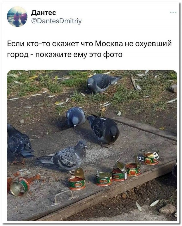 Забавные комментарии из социальных сетей (29.05.23)