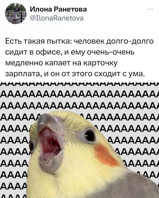 Весёлый полтишок 07.08.23