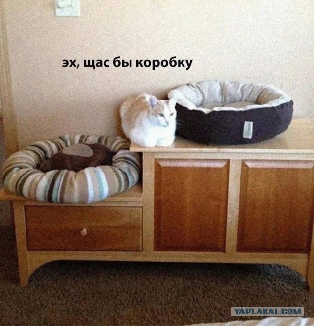 Как реагируют мужчины, когда узнают об измене жены?
