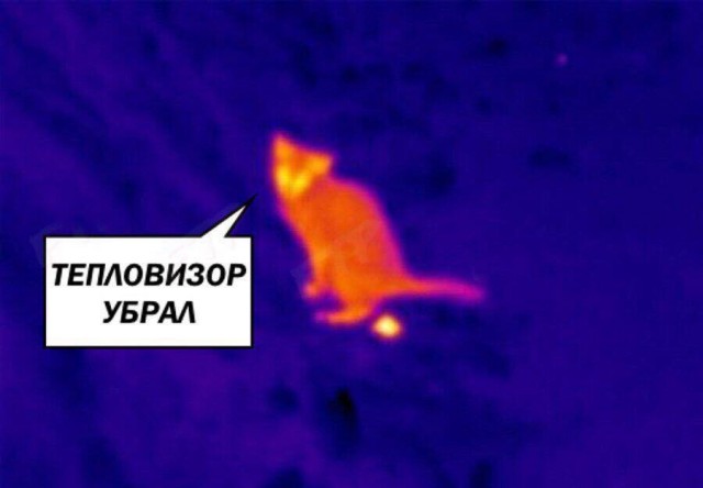 Прикольный глазок!