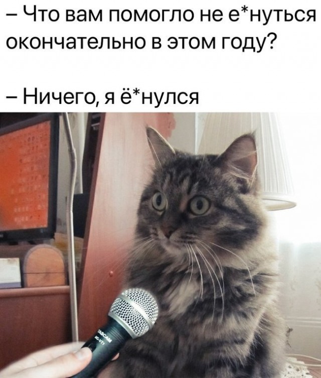 С Новым Годом, деграданты