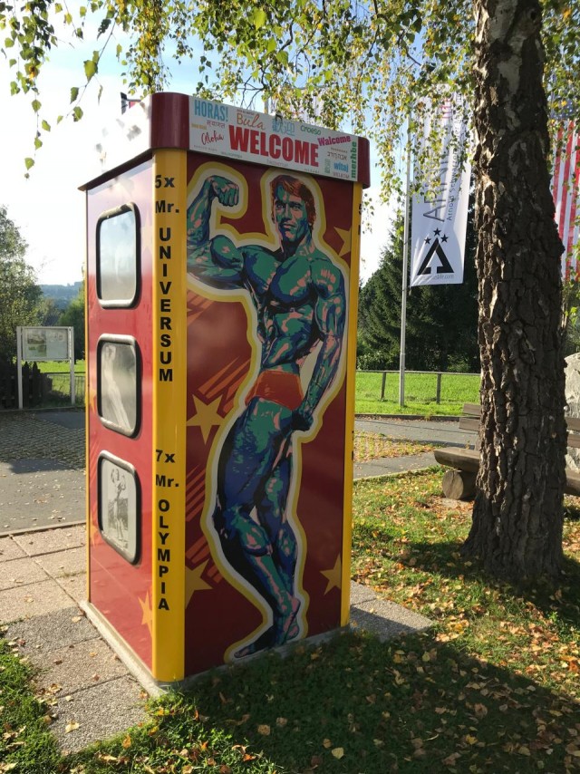 Путь Арни