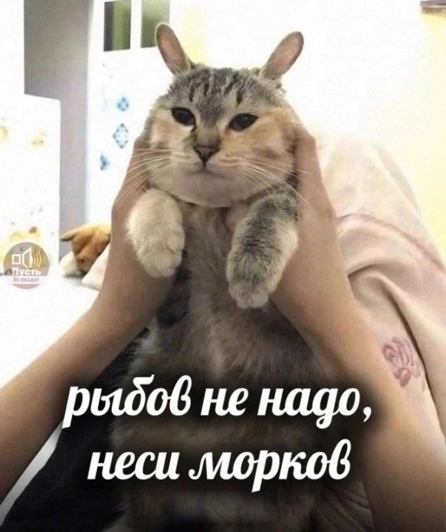 Так себе картинки 08.05.24