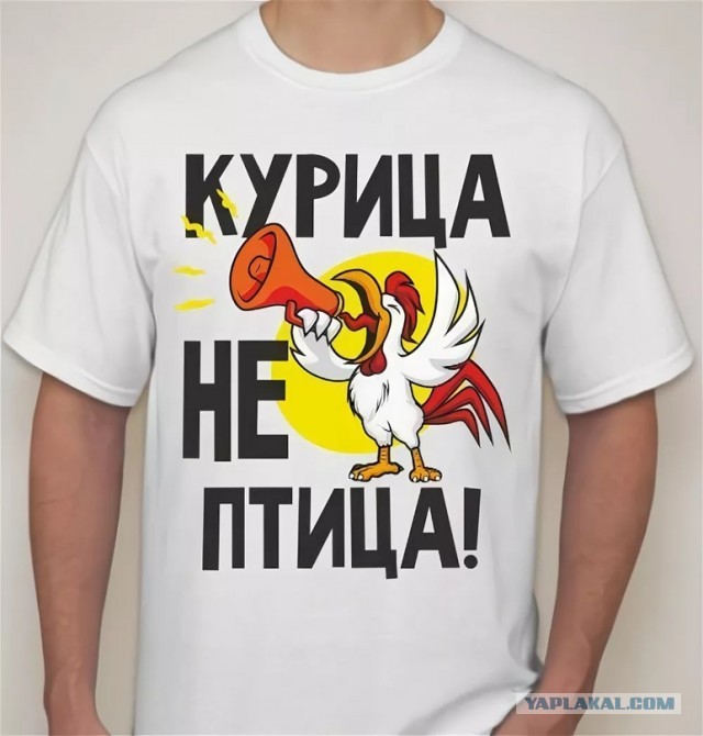 Интересное о курицах (птицах)