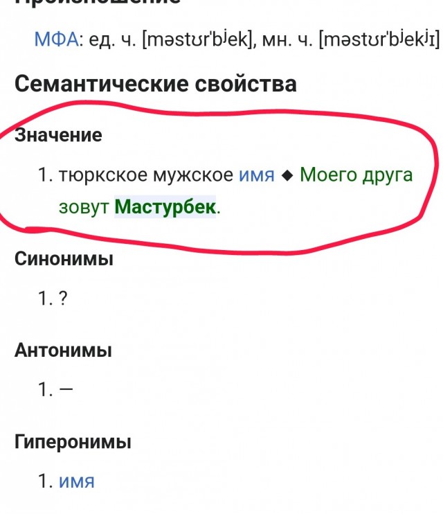 Депутат Гильмутдинов осудил члена Госдумы, назвавшего мигрантов «мастурбеками».