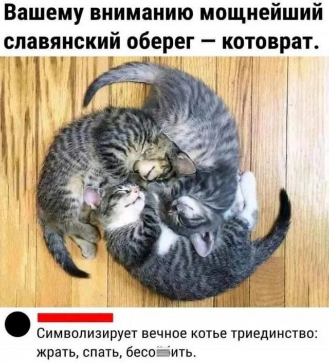 Отряд быстрого деградирования