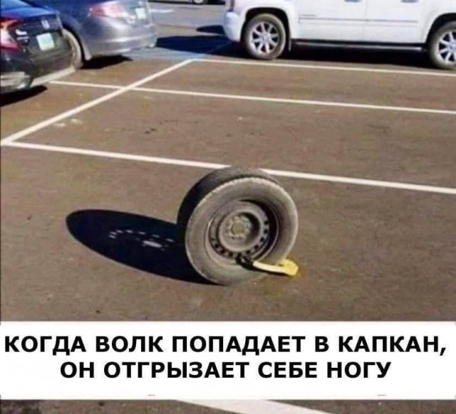 Завалялось тут случайно немного забавных картинок