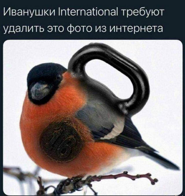 Прикольные и просто красивые картинки 28.06.2024