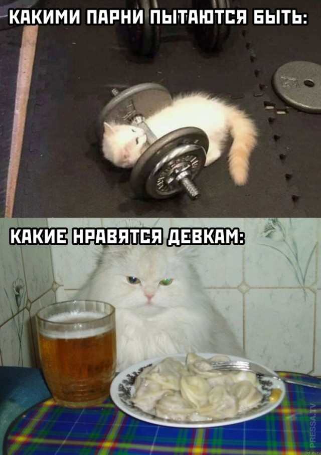 Завалялось тут случайно немного забавных картинок