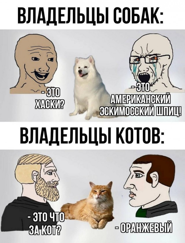Немного картинок натыренных в ТГ