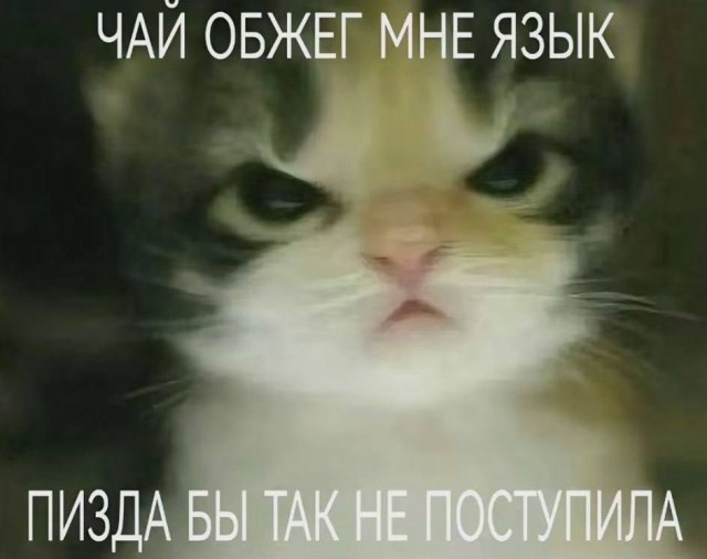Всего понемногу. От 01.11.2024